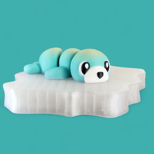 Seal & Iceberg